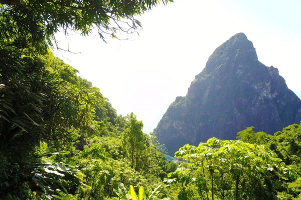 Fond Doux Resort View - fair travel with eco suites
