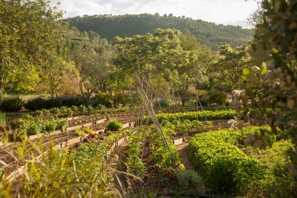 Organic Garden Finca Can Marti auf ecosuites.travel